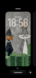 Loaded & Looney